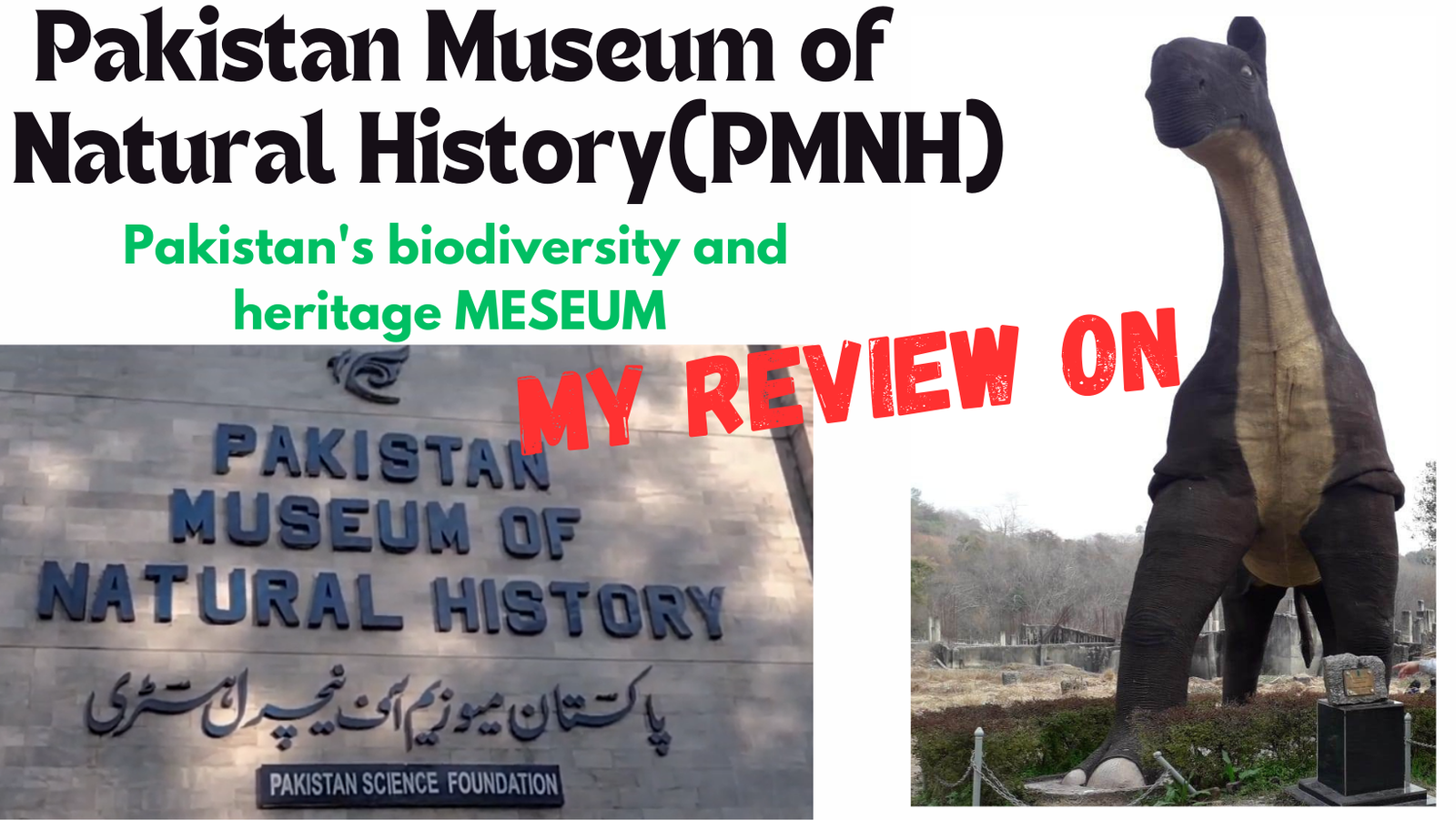 pakistan xplore the wonders of nature today